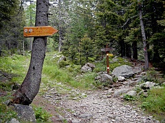 Da S.Bernardo (Alta Val Bognanco , mt.1625) seguiamo le indicazioni per il Rif.Gattascosa